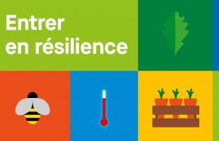 entrer en résilience
