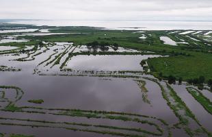 vue aérienne du delta de la Leyre