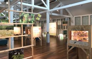 expo sentinelles certes