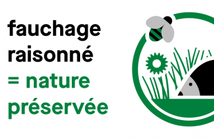 Fauchage raisonné = nature préservée