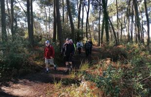 Marche nordique avec Athlé Santé Gradignan