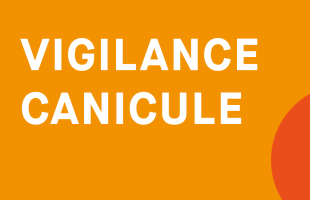 Vigilance canicule