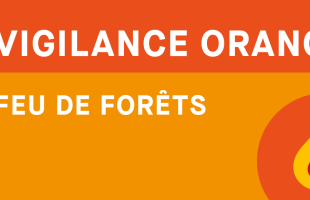 Vigilance orange Feu de forêts