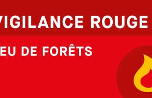 Vigilance rouge feu de forêts