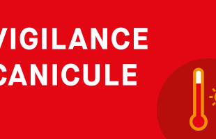 Vigilance canicule