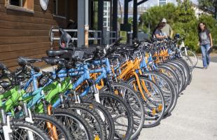 Association Insercycles au Teich