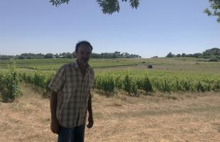Bruno Belly, viticulteur en Haute-Gironde