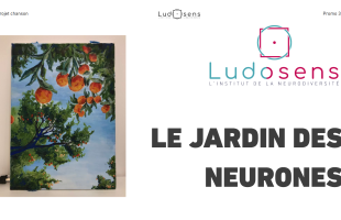 le jardin des neurones