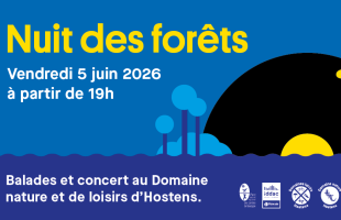 La nuit des forêts le 5 juin 2026 à partir de 19h, balades et concerts à Hostens