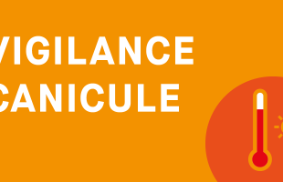 vigilance canicule