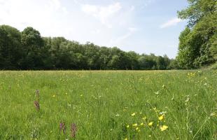 Photo de la parcelle agricole de Beautiran