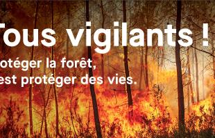 Tous vigilants ! Protéger la forêt, c'est protéger des vies.