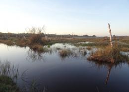 Paysage aquatique du Médoc