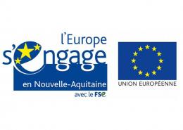 Logo Europe FSE
