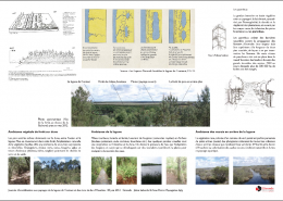 La lagune de Contaut