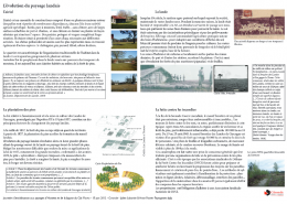 Evolution du paysage landais
