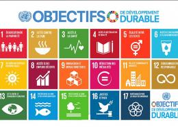 Objectifs mondiaux de développement durable