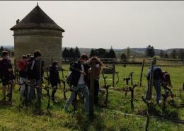 Atelier pratique dans les vignes
