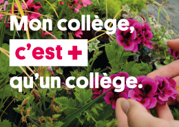 Mon collège c'est plus qu'un collège