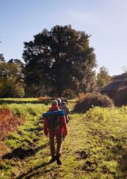 Bain de forêt à Hostens