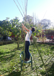 Potager à St Genès - Partage d'expérience