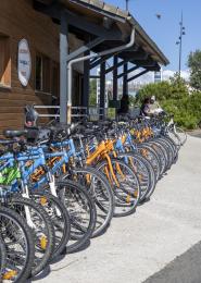 Association Insercycles au Teich