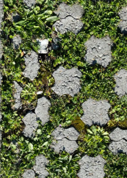 Guide pratique : Comment intégrer la désimperméabilisation des sols dans son projet ?