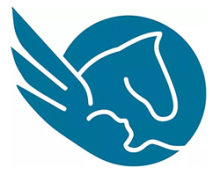 Programme Pégase.png