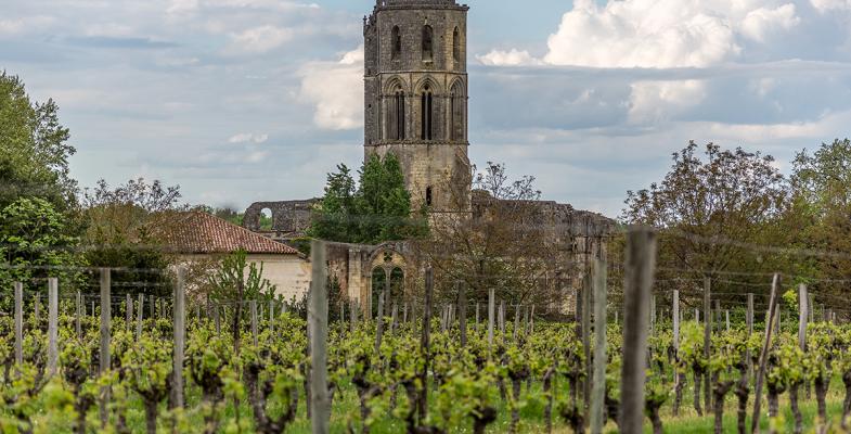 vue sur les vignes et l'abbaye de la Sauve Majeure