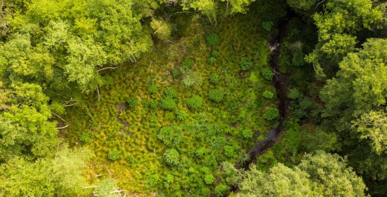 Photo aérienne de du CIRON