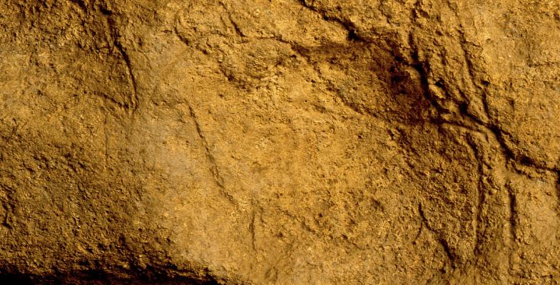 gravure d'un bison sur le mur de la grotte de Pair-non-Pair