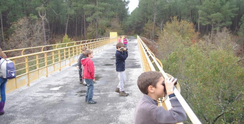 sortie des jeunes experts dans le cadre du club nature