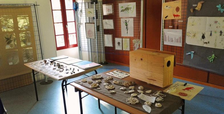 Action Club Nature à la Maison du Patrimoine Naturel du Créonnais