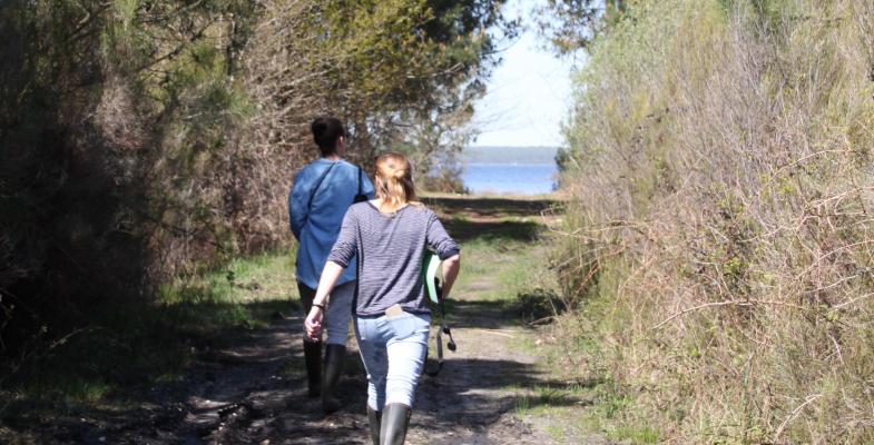 Marais du Pouch à Carcans