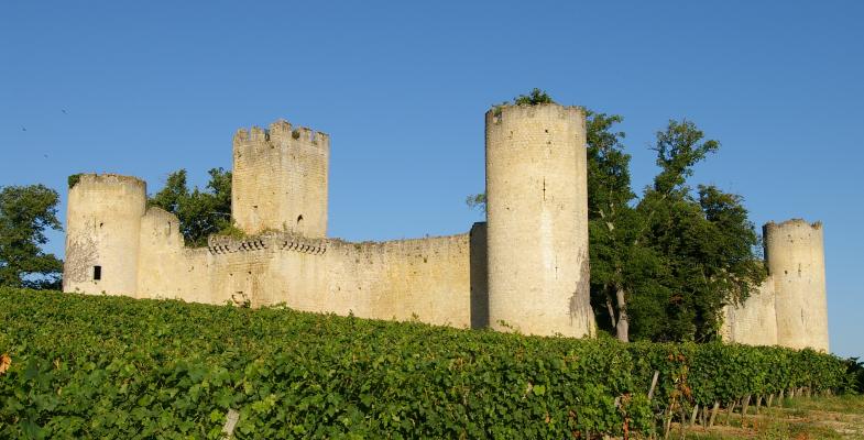château de Budos en Gironde au milieu des vignes