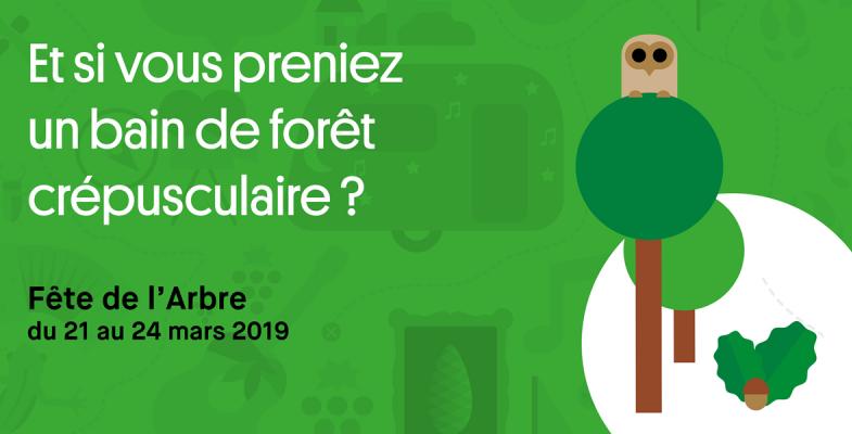 et si vous preniez un bain de forêt crépusculaire ?