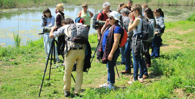 visite guidée sur l'Île Nouvelle