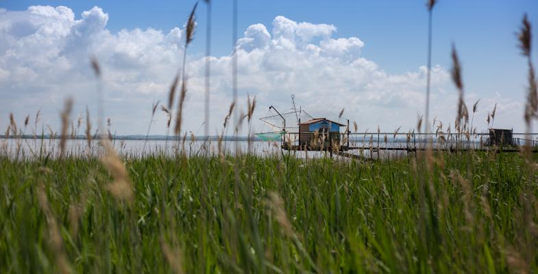 Parc naturel du Médoc