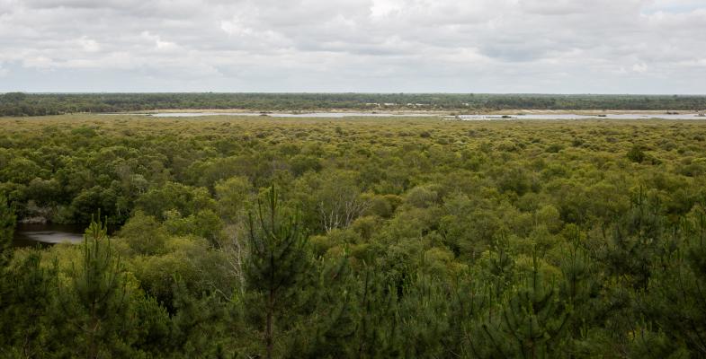 Parc naturel du Médoc