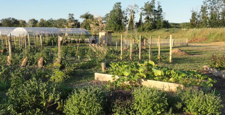 Site maraîcher de Génissac