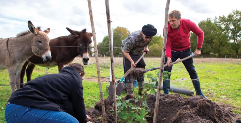 Association Phare de l'Eyre