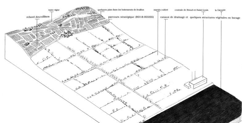 Bloc 1 - Le marais de Braud-et-Saint-Louis