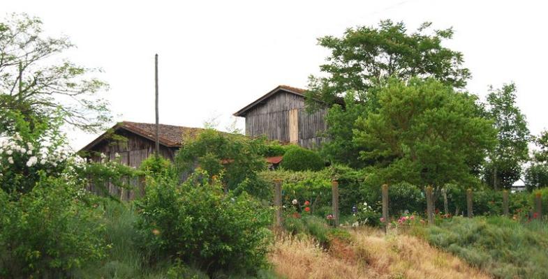 Séchoir à tabac au nord de Coimères 