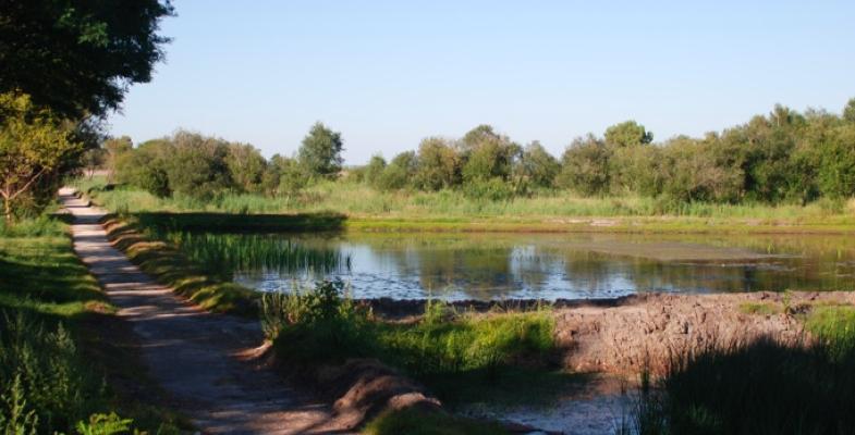 Atlas des paysages - La Teste