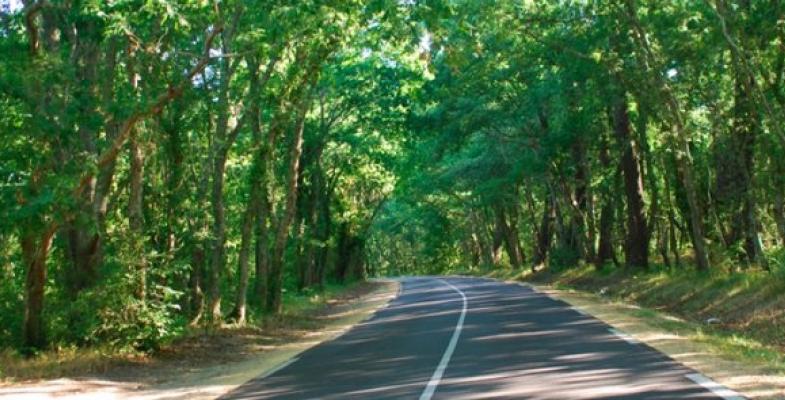 Atlas des paysages - Andernos