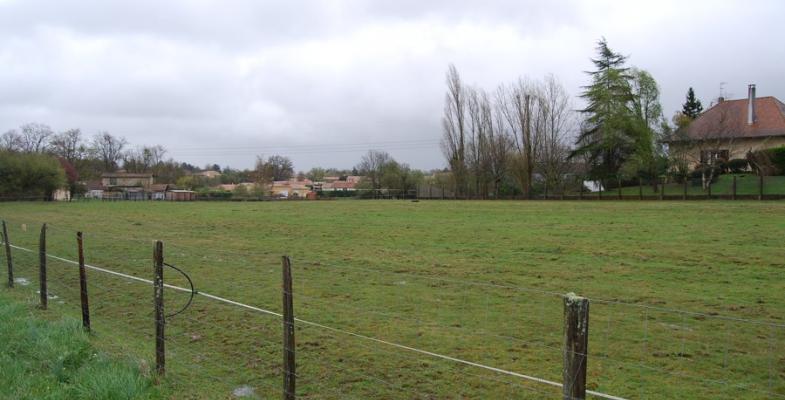 Maintien d'une prairie parmi les franges de l'agglomération bordelaise - Artigues-Près-Bordeaux 