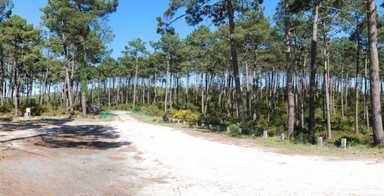 Atlas des paysages - Lacanau