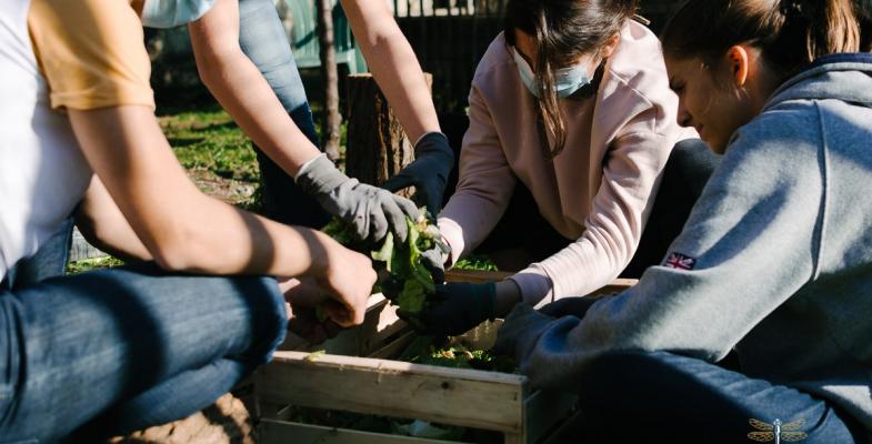 Potager à St Genès 