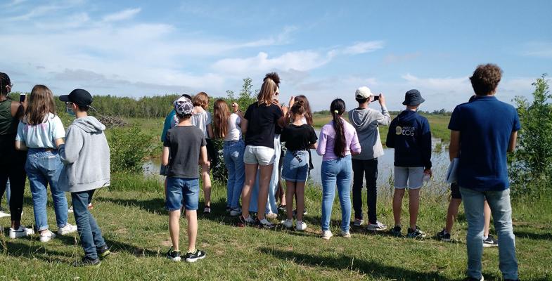 Observation des oiseaux