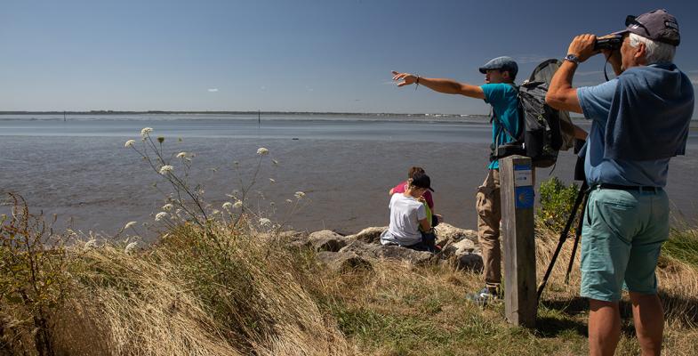 balade guidée Certes